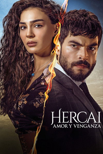 Póster de Hercai