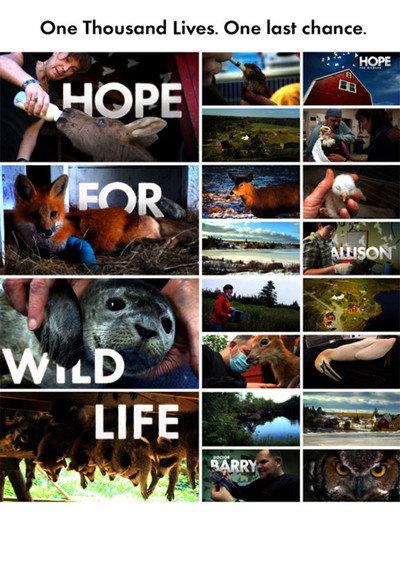Póster de Hope for Wildlife