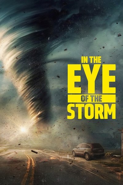 Póster de In the Eye of the Storm