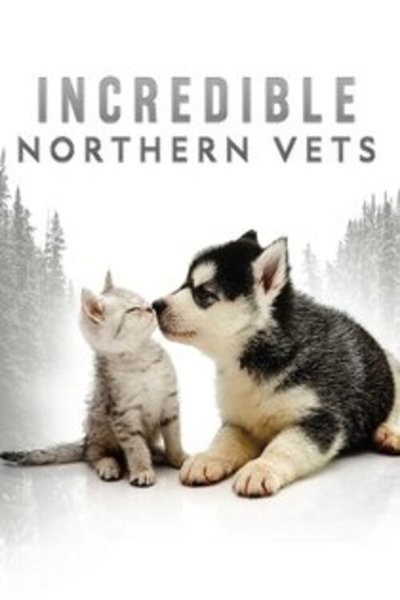 Póster de Incredible Northern Vets