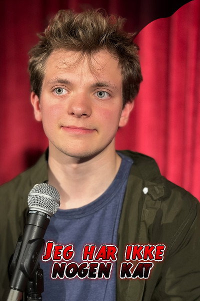 Póster de Jeg har ikke nogen kat