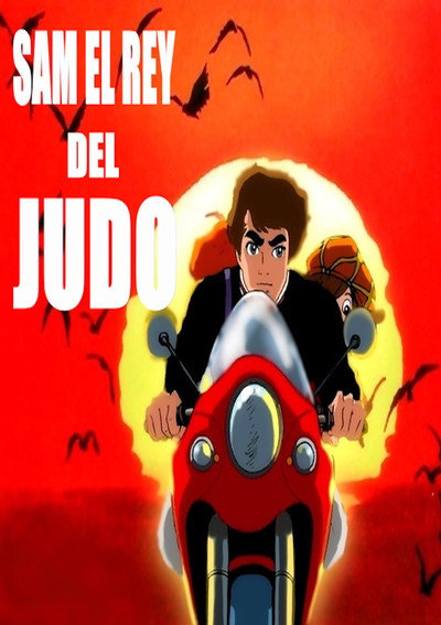 Póster de Judo Boy