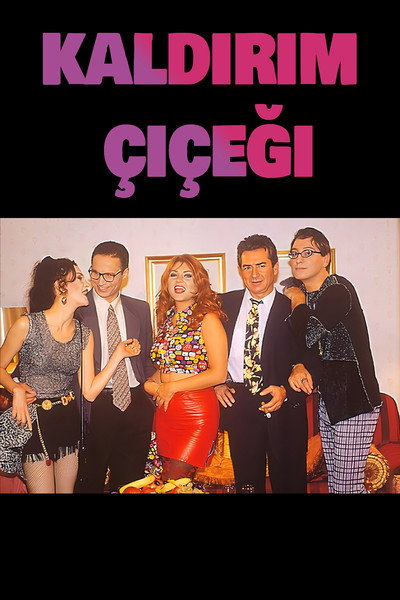 Póster de Kaldirim Çiçegi