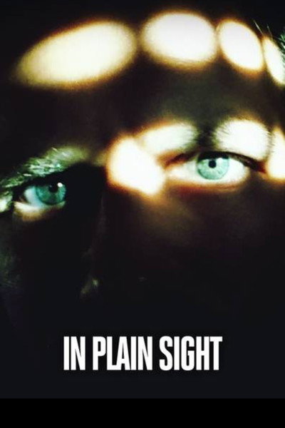 Póster de Killer in Plain Sight
