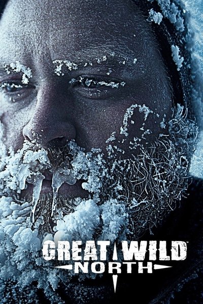 Póster de Klondike Trappers