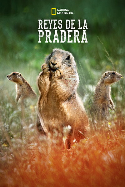 Póster de La casa de los perritos de la pradera