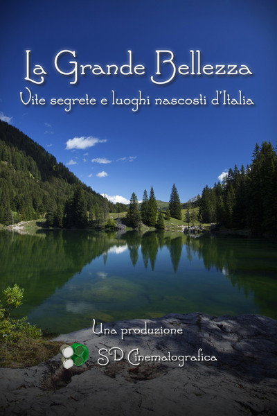 Póster de La grande bellezza