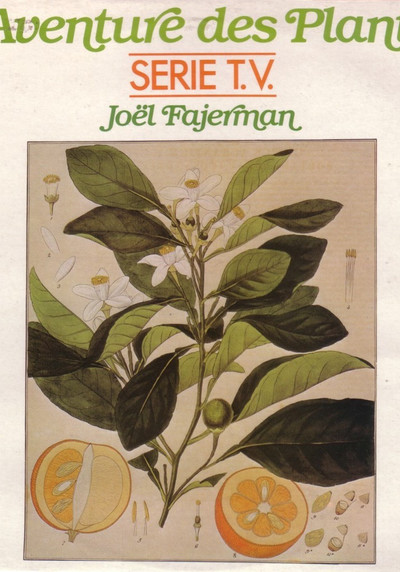 Póster de L'Aventure des plantes