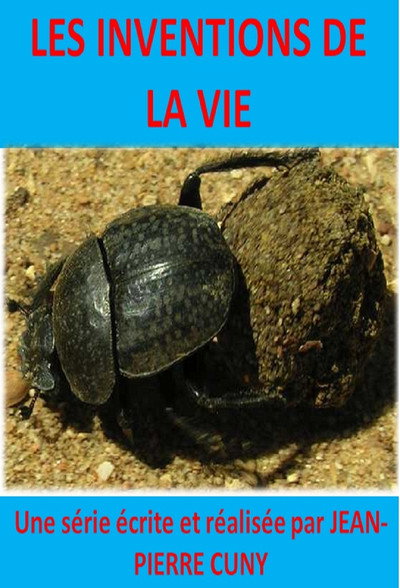 Póster de Les Inventions de la vie