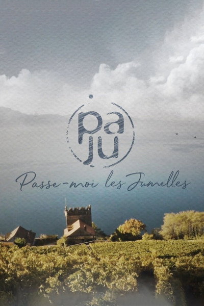 Póster de Les jumelles