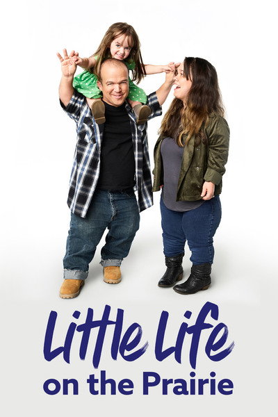 Póster de Little Life on the Prairie