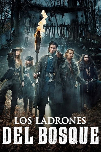 Póster de Los ladrones del bosque