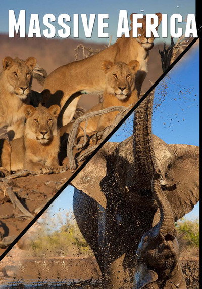 Póster de Massive Africa