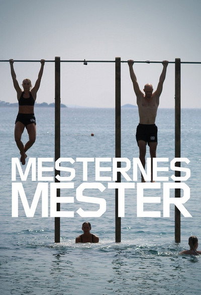 Póster de Mesternes mester