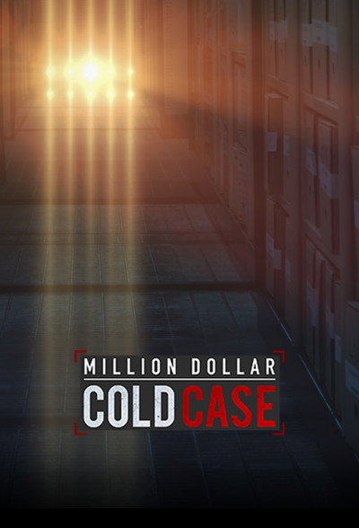 Póster de Million Dollar Cold Case