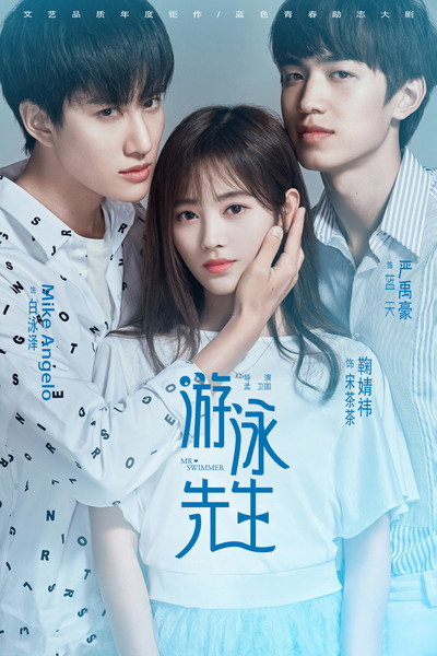 Póster de Mr Swimmer