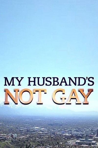 Póster de My Husband's Not Gay