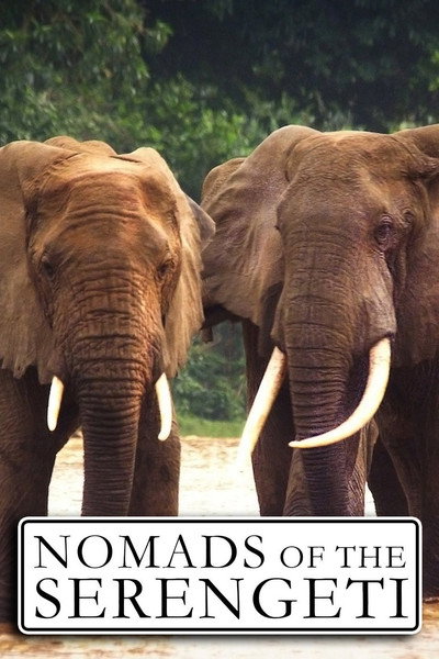 Póster de Nomads of the Serengeti