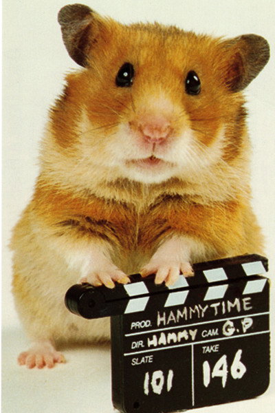 Póster de Once Upon a Hamster