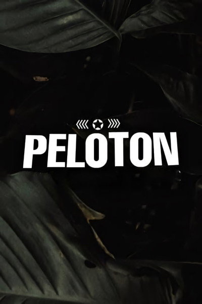 Póster de Pelotón