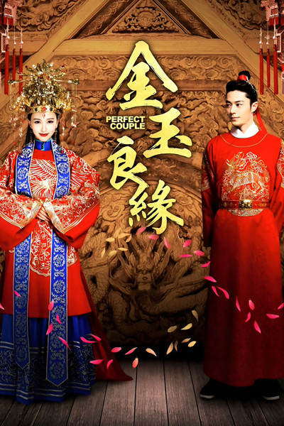 Póster de Perfect Couple
