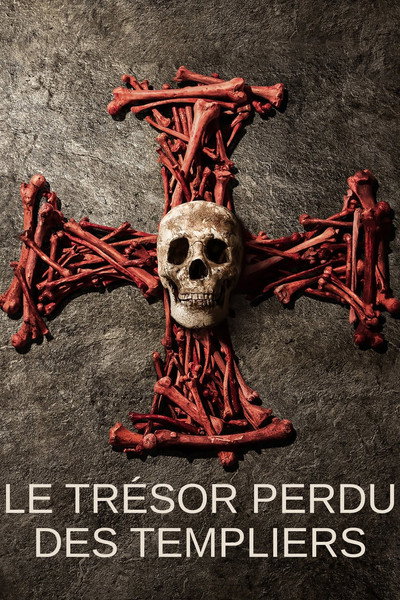 Póster de Pirate Treasure of the Knight's Templar