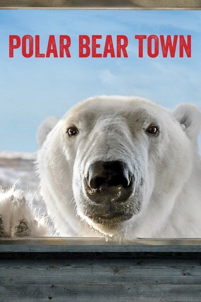 Póster de Polar Bear Town