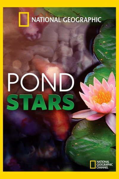 Póster de Pond Stars