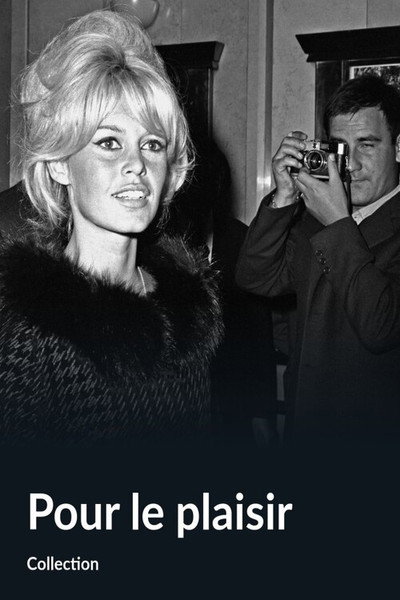 Póster de Pour le plaisir