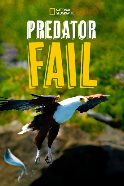 Póster de Predator Fail