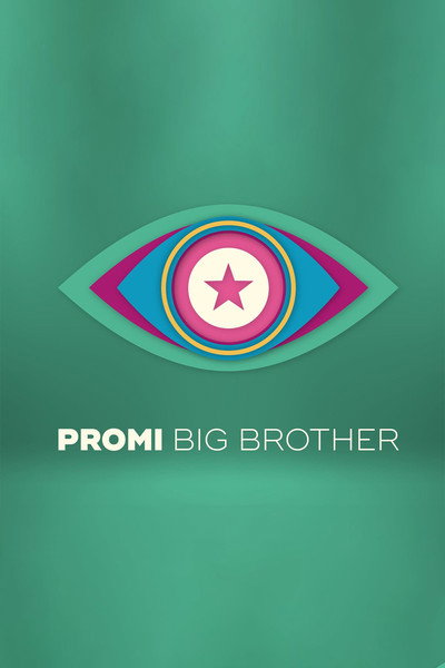 Póster de Promi Big Brother