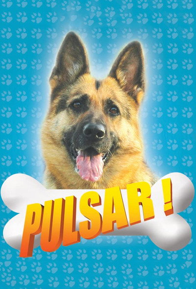 Póster de Pulsar