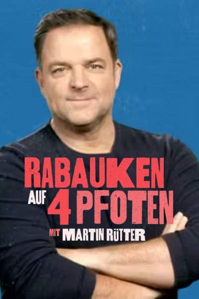 Póster de Rabauken auf 4 Pfoten
