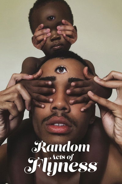 Póster de Random Acts of Flyness
