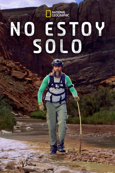 Póster de Remote Survival