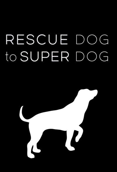 Póster de Rescue Dog to Super Dog