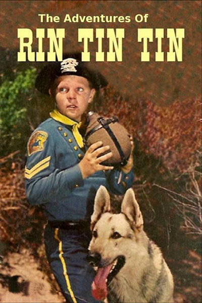Póster de Rin Tin Tin
