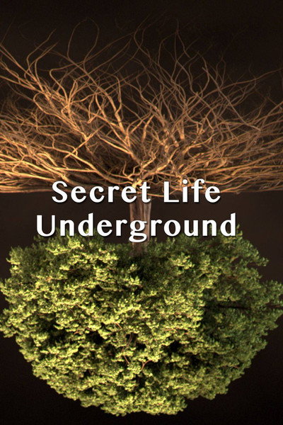 Póster de Secret Life Underground