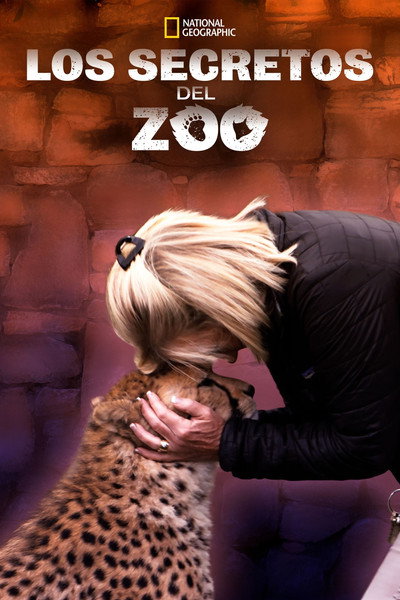 Póster de Secrets of the Zoo