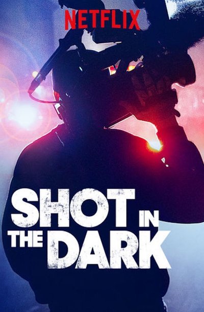 Póster de Shot in the Dark