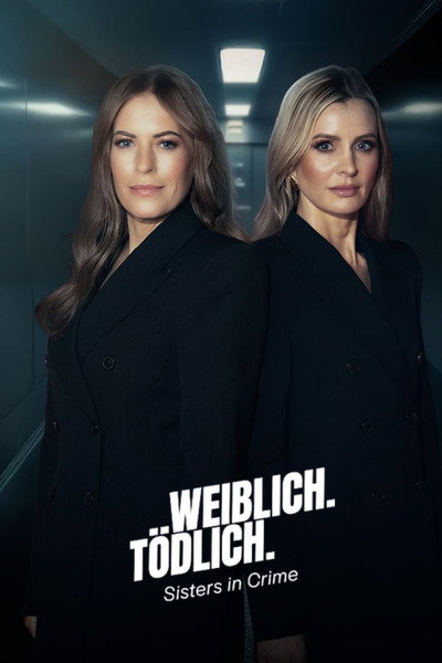 Póster de Sisters in Crime