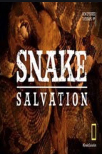 Póster de Snake Salvation
