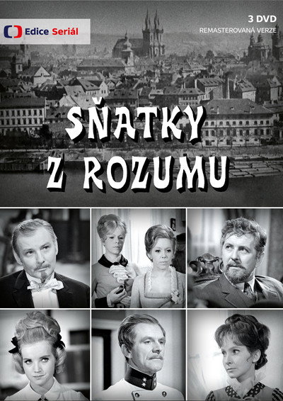 Póster de Snatky z rozumu
