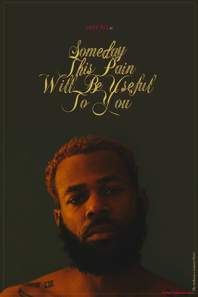Póster de Someday This Pain Will Be Useful To You