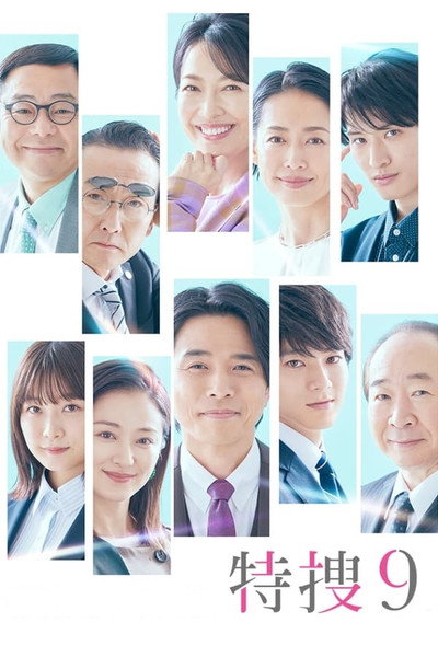 Póster de Special Investigation Nine