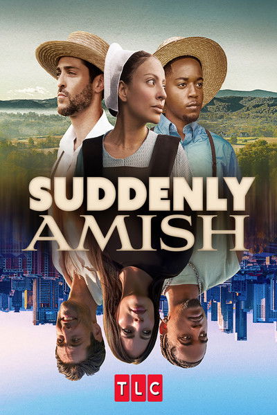 Póster de Suddenly Amish