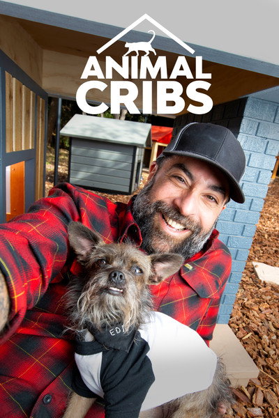 Póster de Supercasas para mascotas
