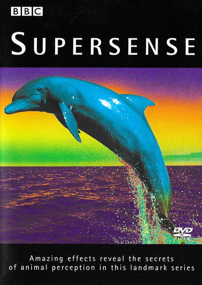 Póster de Supersense