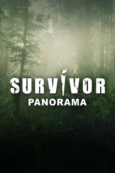 Póster de Survivor Panorama