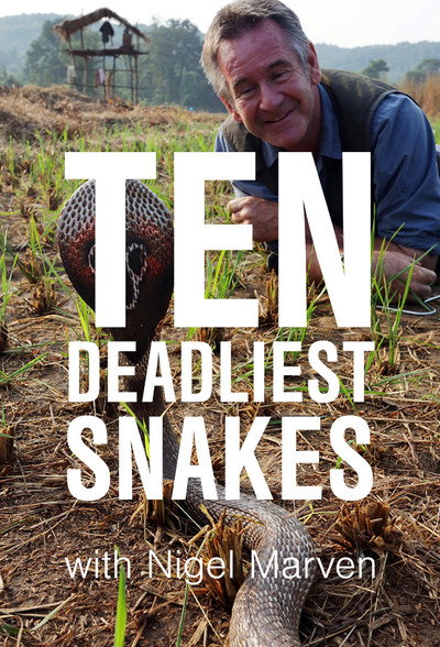 Póster de Ten Deadliest Snakes with Nigel Marven